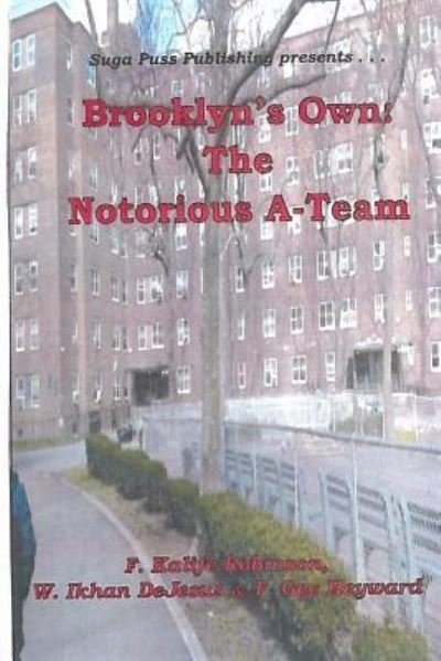 Cover for F Kalife Robinson · Brooklyn's Own (Paperback Book) (2017)