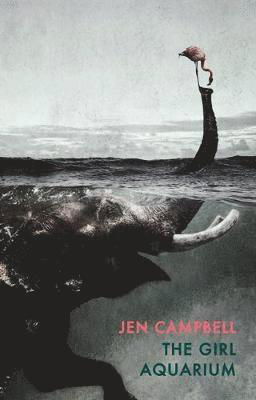 The Girl Aquarium - Jen Campbell - Kirjat - Bloodaxe Books Ltd - 9781780374499 - torstai 25. huhtikuuta 2019