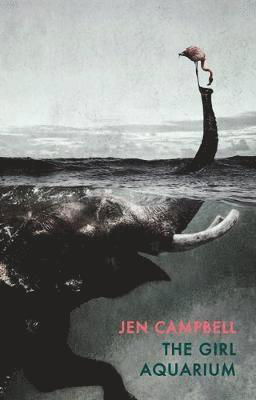 Cover for Jen Campbell · The Girl Aquarium (Taschenbuch) (2019)