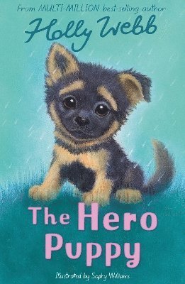 Cover for Holly Webb · The Hero Puppy - Holly Webb Animal Stories (Taschenbuch) (2024)