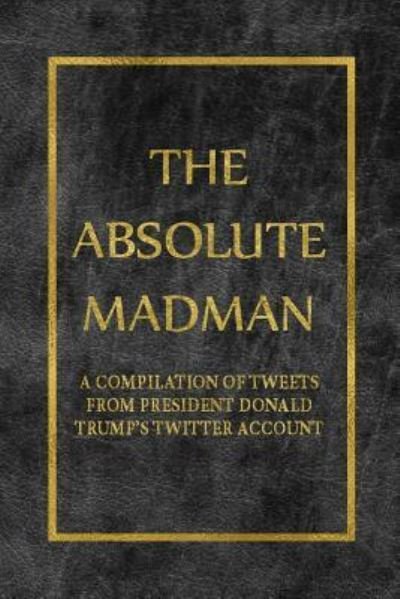 Cover for Yosef Fesoy · The Absolute Madman (Paperback Bog) (2019)