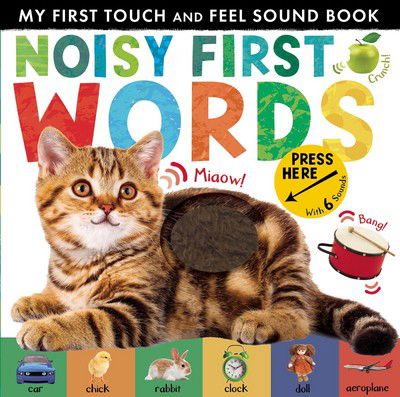 Noisy First Words: My First Touch and Feel Sound Book - Libby Walden - Książki - Little Tiger Press Group - 9781848698499 - 8 marca 2018