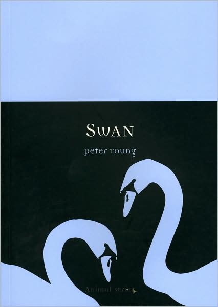 Swan - Animal Series - Peter Young - Books - Reaktion Books - 9781861893499 - October 1, 2007