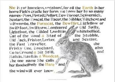 The Jackie Morris Poster: Names of the Hare - Jackie Morris - Produtos - Graffeg Limited - 9781912654499 - 21 de junho de 2018