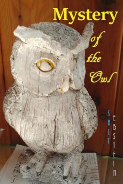 Cover for Salt Ebstein · Mystery of the Owl (Paperback Book) (2018)