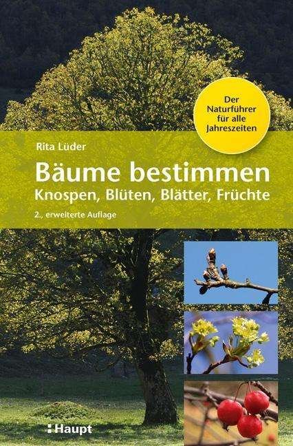 Cover for Lüder · Bäume bestimmen - Knospen, Blüten (Bog)
