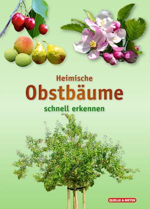 Heimische Obstbäume - Quelle & Meyer Verlag - Książki - Quelle & Meyer - 9783494019499 - 20 stycznia 2023