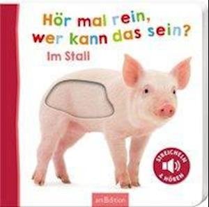 Cover for Wer Kann Das Sein Hör Mal Rein · Hör mal rein, wer kann das sein - Im St (Bok)