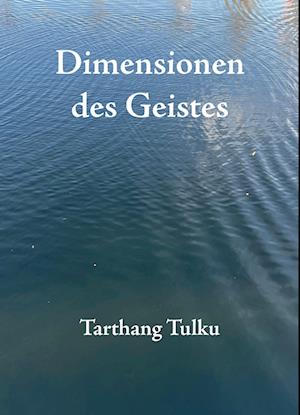 Dimensionen des Geistes - Tarthang Tulku - Kirjat - Dharma Publishing - 9783928758499 - torstai 1. elokuuta 2024