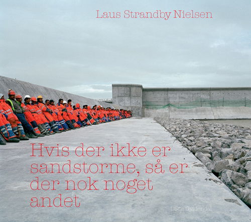 Cover for Laus Strandby Nielsen · Hvis der ikke er sandstorme, så er der nok noget andet (Sewn Spine Book) [1st edition] (2010)