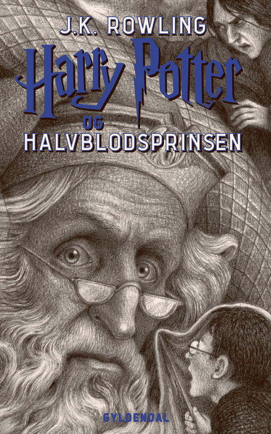 Cover for J. K. Rowling · Harry Potter: Harry Potter 6 - Harry Potter og Halvblodsprinsen (Sewn Spine Book) [6th edition] (2018)