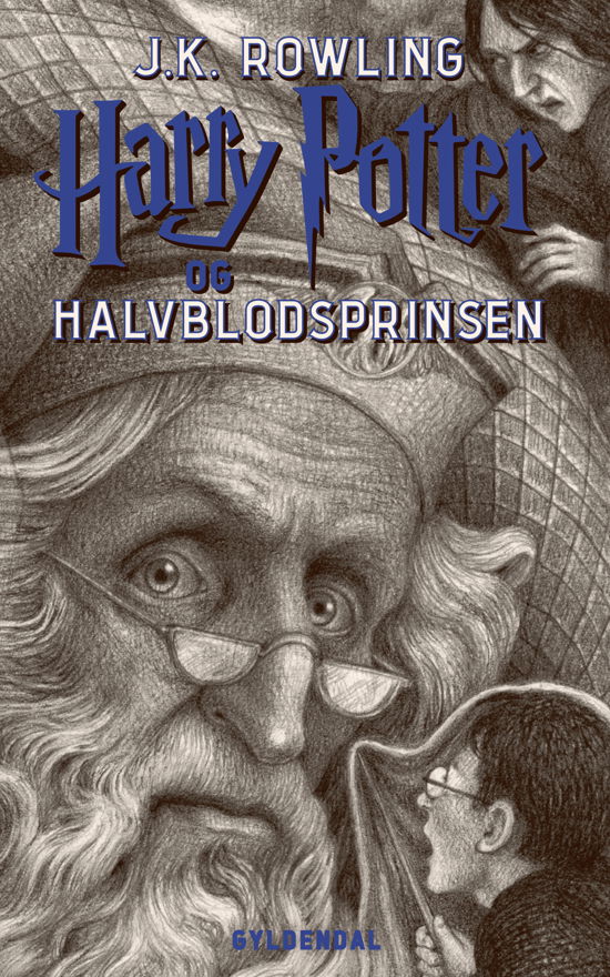 Cover for J. K. Rowling · Harry Potter: Harry Potter 6 - Harry Potter og Halvblodsprinsen (Heftet bok) [6. utgave] (2018)