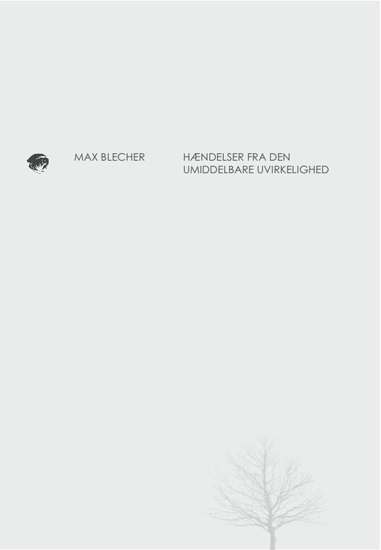 Cover for Max Blecher · Hændelser fra den umiddelbare uvirkelighed (Taschenbuch) [1. Ausgabe] (2010)