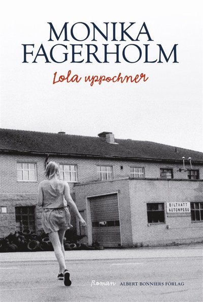 Cover for Monika Fagerholm · Lola uppochner (ePUB) (2013)