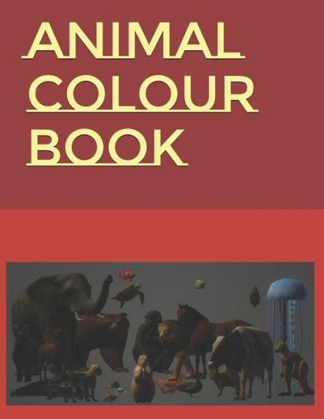 Cover for Raza, Aasif, MD · Animal Colour Book (Pocketbok) (2021)