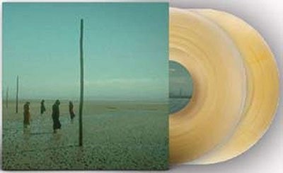 In All Her Forms (Gold / Clear Marbled Vinyl) - Devil's Witches - Música - MAJESTIC MOUNTAIN - 7350130420500 - 25 de novembro de 2022