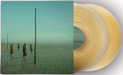 In All Her Forms (Gold / Clear Marbled Vinyl) - Devil's Witches - Music - MAJESTIC MOUNTAIN - 7350130420500 - November 25, 2022