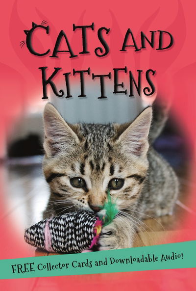 Cover for Kingfisher · It's All About... Cats and Kittens (N/A) (2018)