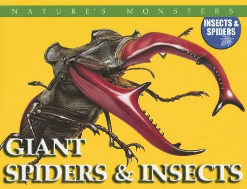 Cover for Chris Mcnab · Giant Spiders &amp; Insects: Giant Spiders and Insects (Nature's Monsters: Insects &amp; Spiders) (Gebundenes Buch) (2006)