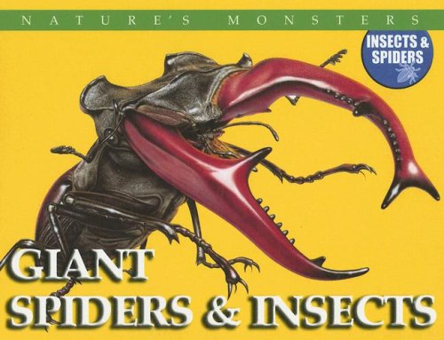 Cover for Chris Mcnab · Giant Spiders &amp; Insects: Giant Spiders and Insects (Nature's Monsters: Insects &amp; Spiders) (Hardcover Book) (2006)