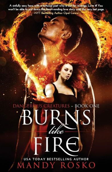 Cover for Mandy Rosko · Burns Like Fire (Paperback Book) (2014)