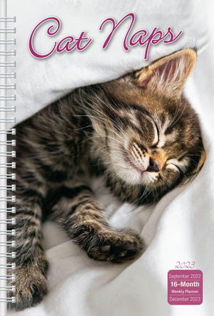 Cover for Sellers Publishing · Cat Naps - Engagement 16 Month (Paperback Book) (2022)