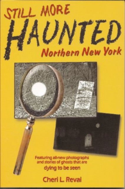 Still More Haunted Northern New York - Cheri L Revai - Books - North Country Books - 9781595319500 - 2004