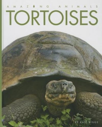 Cover for Kate Riggs · Tortoises (Amazing Animals (Creative Education Hardcover)) (Hardcover Book) (2014)