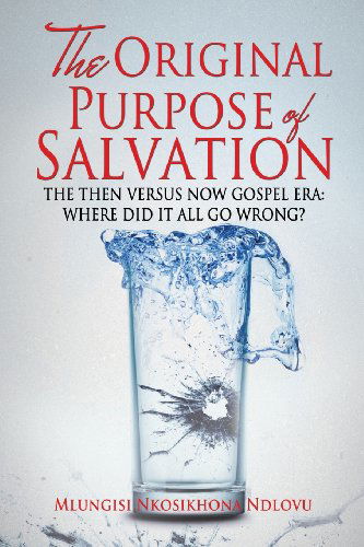 Cover for Mlungisi Nkosikhona Ndlovu · The Original Purpose of Salvation (Paperback Bog) (2013)