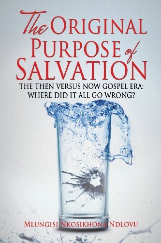 Cover for Mlungisi Nkosikhona Ndlovu · The Original Purpose of Salvation (Paperback Book) (2013)