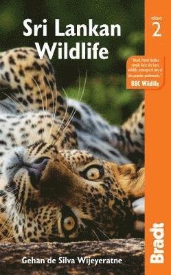 Cover for Gehan De Silva Wijeyeratne · Sri Lankan Wildlife (Taschenbuch) [2 Revised edition] (2022)