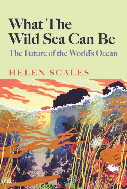Cover for Helen Scales · What the Wild Sea Can Be: The Future of the World's Ocean (Innbunden bok) [Main edition] (2024)