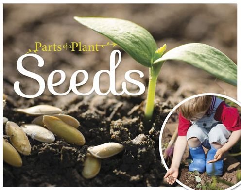 Seeds - Parts of a Plant - Gemma McMullen - Bøger - BookLife Publishing - 9781910512500 - 28. september 2016
