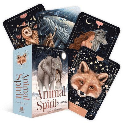 Cover for Lea Androic · Animal Spirit Oracle - Rockpool Oracle (Flashcards) (2025)