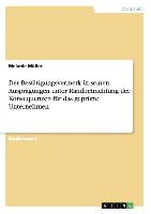Cover for Müller · Der Bestätigungsvermerk in seine (Book) [German, 1. edition] (2013)