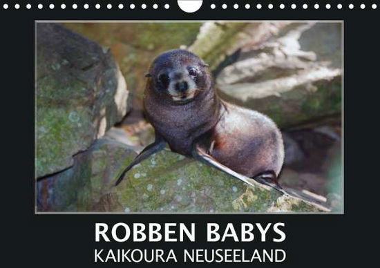 Cover for Bort · Robben Babys - Kaikoura Neuseeland (Book)