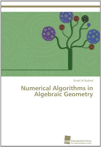 Cover for Shwki Al Rashed · Numerical Algorithms in Algebraic Geometry (Paperback Book) (2011)