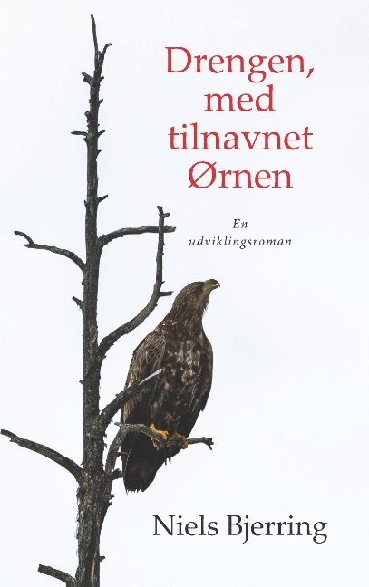 Drengen, med tilnavnet Ørnen - Niels Bjerring - Bücher - Books on Demand - 9788743081500 - 7. Mai 2020