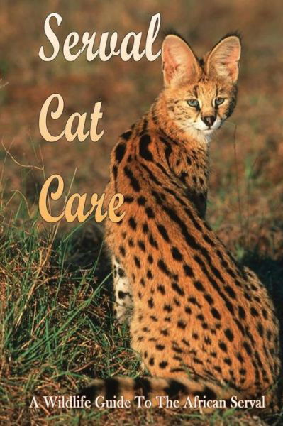 Cover for Ai Aron · Serval Cat Care (Paperback Bog) (2021)