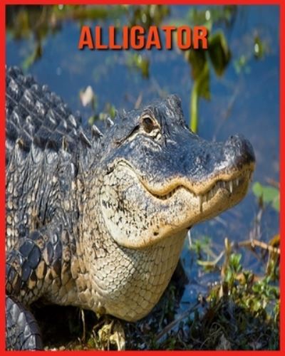 Alligator - Alicia Moore - Books - Independently Published - 9798707473500 - February 10, 2021