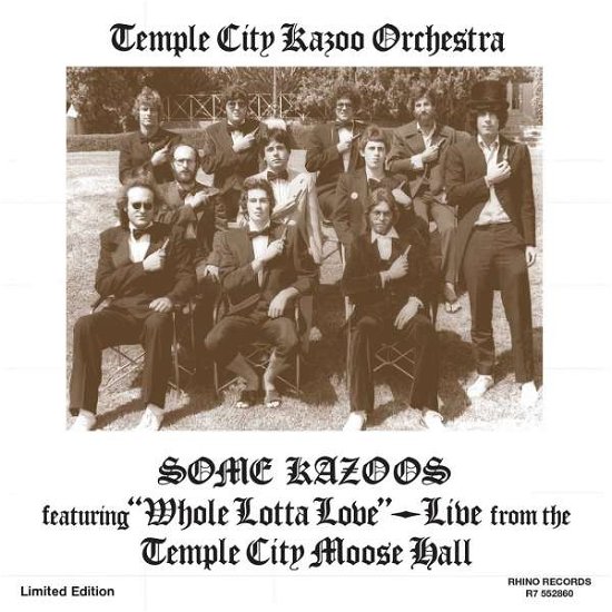 Cover for Temple City Kazoo Orchestra · Some Kazoos (LP) (2001)