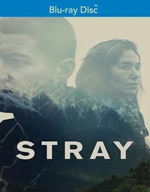 Cover for Stray (Blu-ray) (2020)