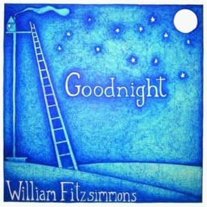 Goodnight - William Fitzsimmons - Musik - HALD - 4024572358501 - 25. november 2008