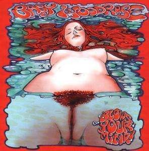 Cover for Baby Woodrose · Blows Your Mind (CD) (2003)