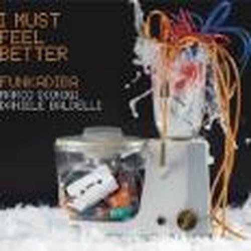 Cover for Funkadiba · Funkadiba - I Must Feel Better (CD) (2013)