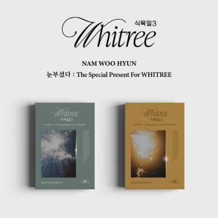 Special Present for Whitree - Random Cover - Nam Woo Hyun - Music - Billions - 8804775450501 - July 5, 2024