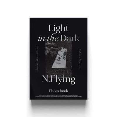 Cover for N.flying · Light in the Dark (Book) (2021)