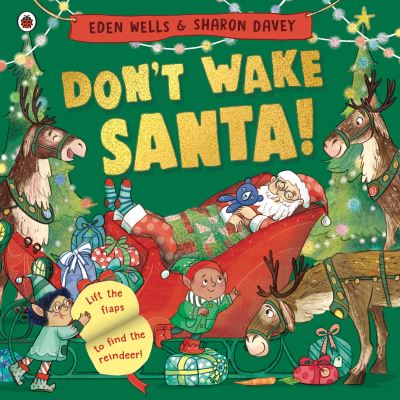 Cover for Eden Wells · Don't Wake Santa: A lift-the-flap Christmas book (Paperback Book) (2023)
