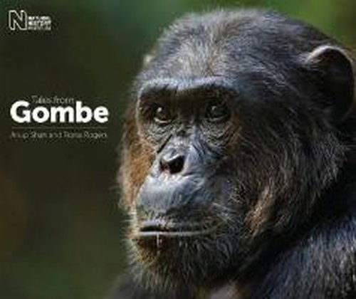 Tales from Gombe - A. Shah - Books - The Natural History Museum - 9780565093501 - October 2, 2014