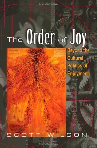 Cover for Scott Wilson · The Order of Joy: Beyond the Cultural Politics of Enjoyment (Psychoanalysis and Culture) (Pocketbok) (2009)